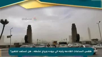 طقس الساعات القادمة يتجه إلى برودة ورياح نشطة.. هل تستعد للتغير؟
